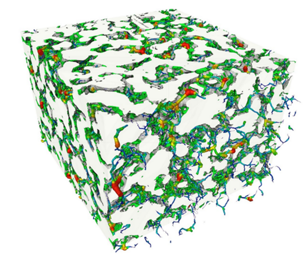 FIB/SEM-tomography; Visualization of pores with high probability of electrolyte transportation.